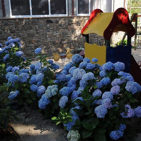 Hotel Gomar San Martín de Moncayo Zewnętrze zdjęcie
